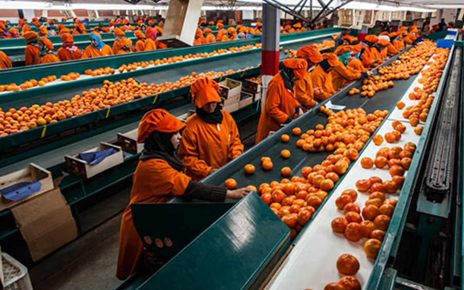 cap agro maroc